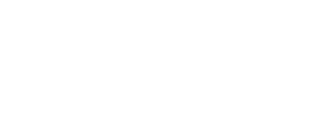 logo29_white